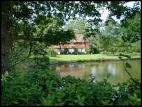 Barcombe East Sussex - The pond